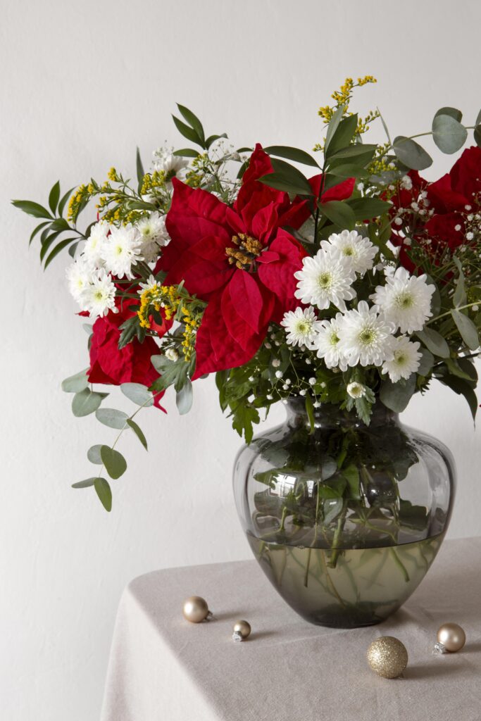 beautiful-red-poinsettia-composition